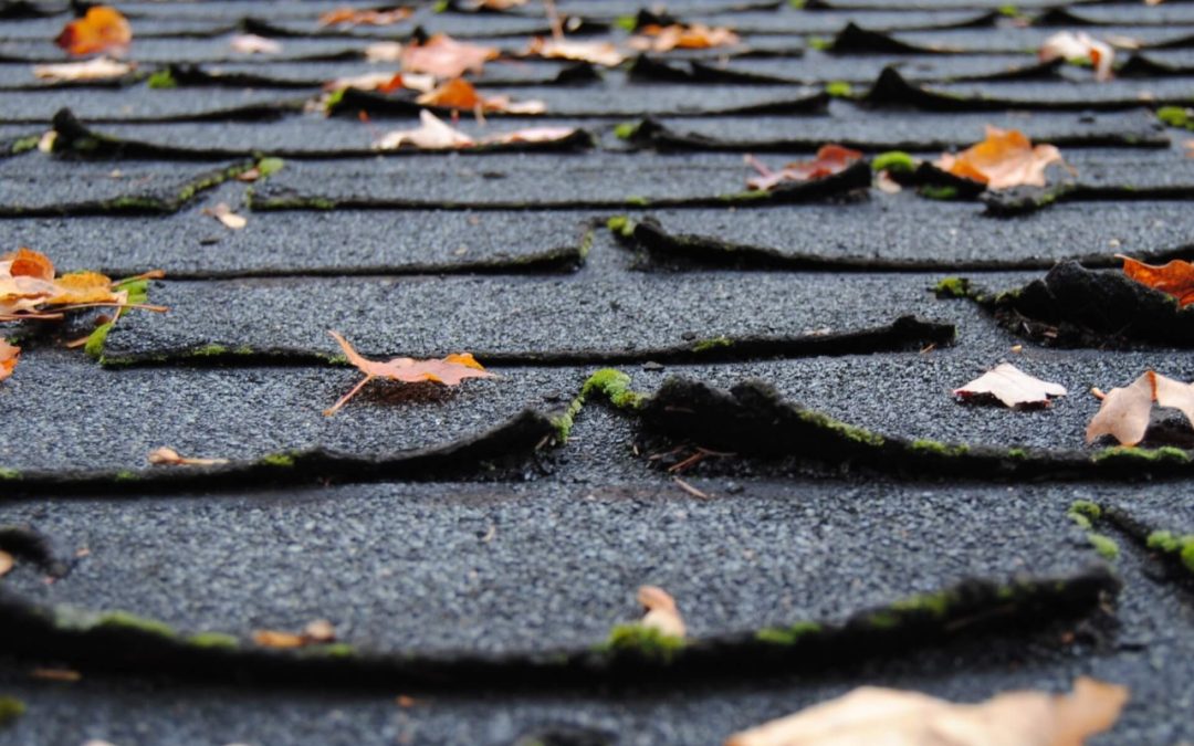 6 Signs You Need a New Roof